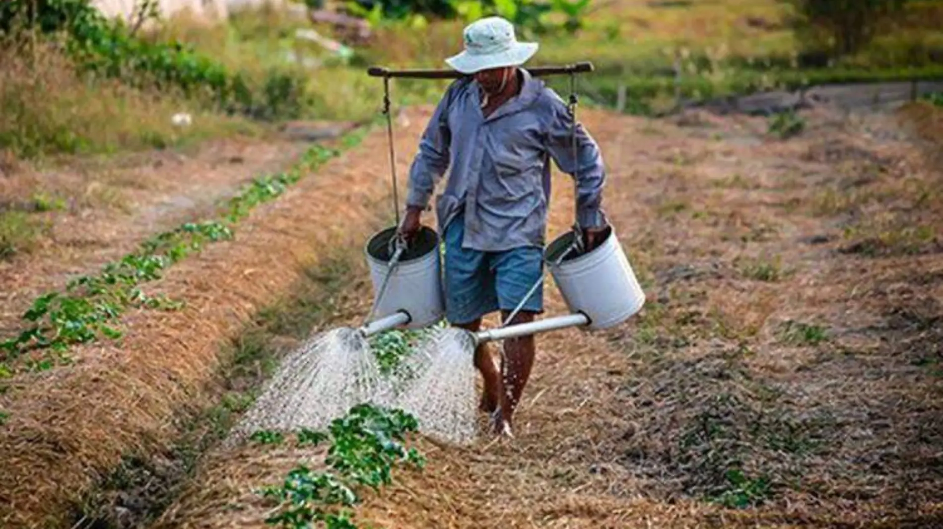 CAP consejo agrario 2021